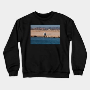 Stranded Crewneck Sweatshirt